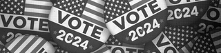 Vote 2024 buttons